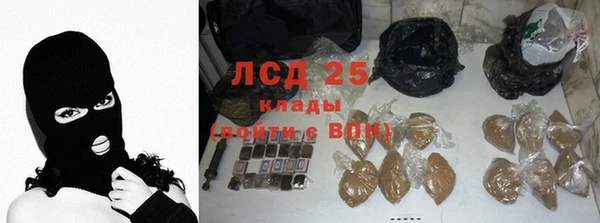 ГАЛЛЮЦИНОГЕННЫЕ ГРИБЫ Алзамай