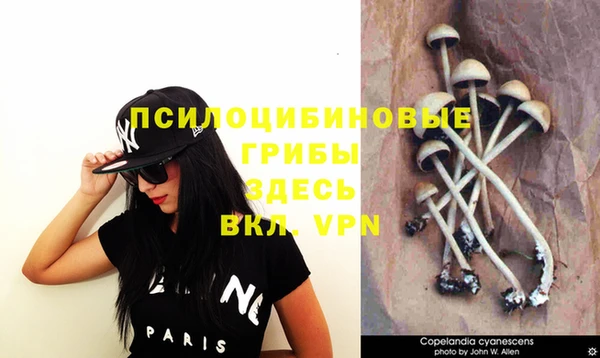 дмт Абинск